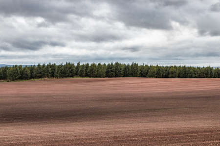 Raw plowed field near the forest with dramatic autumn sky. Faded colors rural landscape.の写真素材