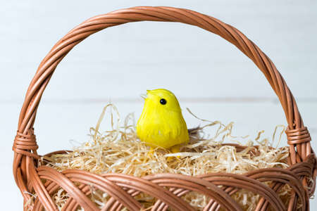 Easter or spring chick or bird in basket with hay. Closeup.の写真素材