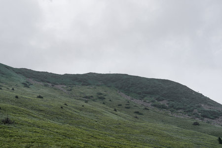 Mountain range with view on Tarnica in a dense fog in Bieszczady, Poland.