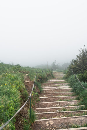Well maintained trail in a fog in Bieszczady Mountains, Poland. Vertical orientation.
