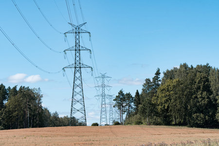 Electricity overhead power lines on a wheat field in a countryside. Rural area development concept.