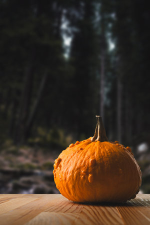 Orange halloween pumpkin on a dark night forest background. Copy space at the top. Vertical orientation.の写真素材
