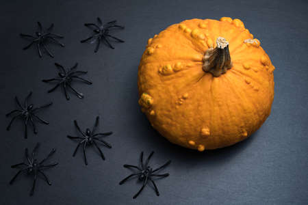 Orange halloween pumpkin with tiny spiders on a black stone slate plate background. Dramatic lighting. Copy space on the left.の写真素材