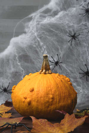 Orange halloween pumpkin with autumn colorful leaves, spiders and cobweb. Vertical orientation.の写真素材
