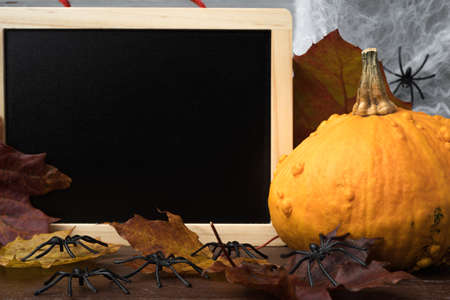 Orange halloween pumpkin with blank chalk blackboard with copy space. Autumn colorful leaves, spiders and cobweb.の写真素材