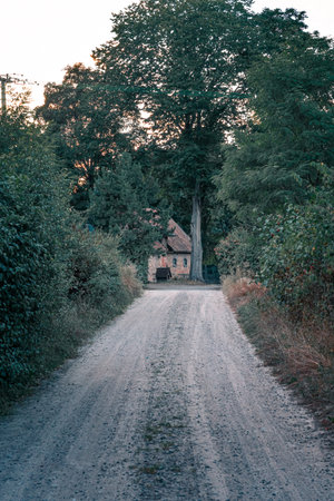 Old house in the forest near logging road or path at dusk. Vertical orientation