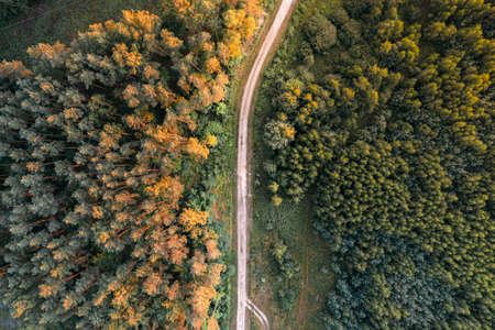Aerial top down drone view of forest road in rural countryside during golden summer sunsetの写真素材