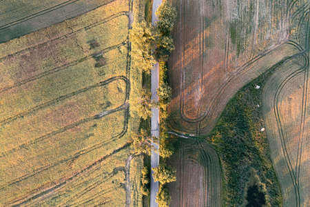 Aerial top down view of a rural road between fields. Tractor tire tracksの写真素材