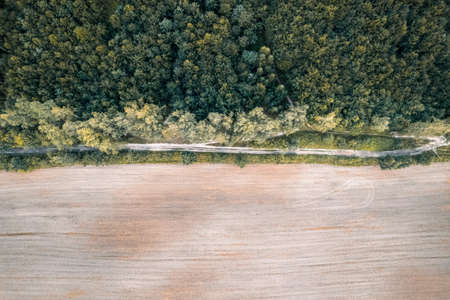 Aerial top down drone shot of rural countryside road between crop field and forestの写真素材