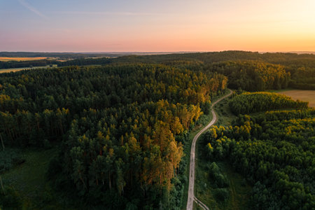 Aerial drone view of forest road in rural countryside during golden summer sunsetの写真素材