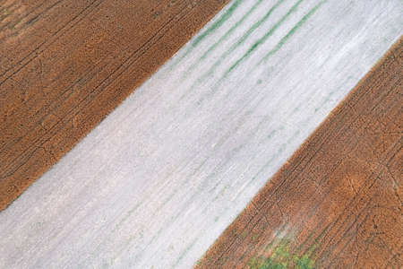 Aerial top down drone shot of interesting pattern on a rural countryside crop fieldの写真素材