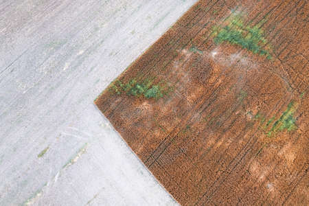 Aerial top down drone shot of interesting pattern on a rural countryside crop fieldの写真素材