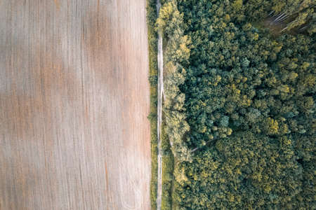 Aerial top down drone shot of rural countryside road between crop field and forestの写真素材