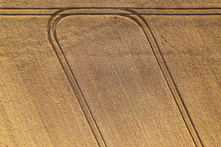 Aerial drone shot of tractor tire tracks on wheat field at sunset. Top down agriculture backgroundの写真素材
