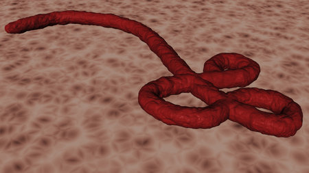 ebola virus alone 3D rendering の写真素材