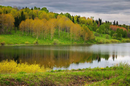 multicolored wood and reflection lakeの写真素材
