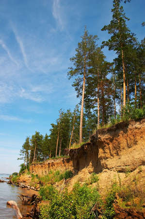 vertical cliff and firsの写真素材