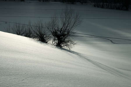 Winter snow landscapeの写真素材