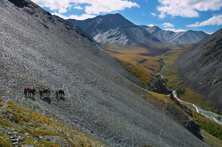 blue mountains and horses, Altayの写真素材
