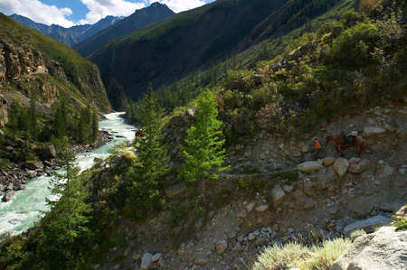 Milk river in the mountains, Altayの写真素材