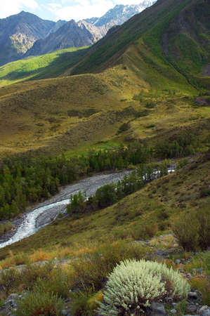Rushing river, Altayの写真素材