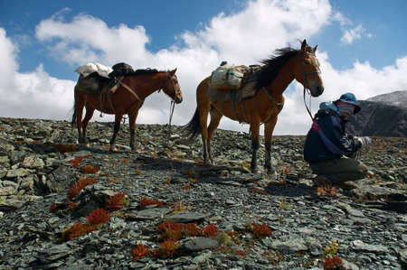 two horses and men in the clouds. Altayの写真素材