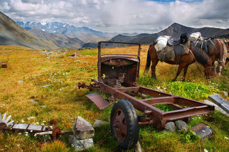 old dismantling car and horsesの写真素材
