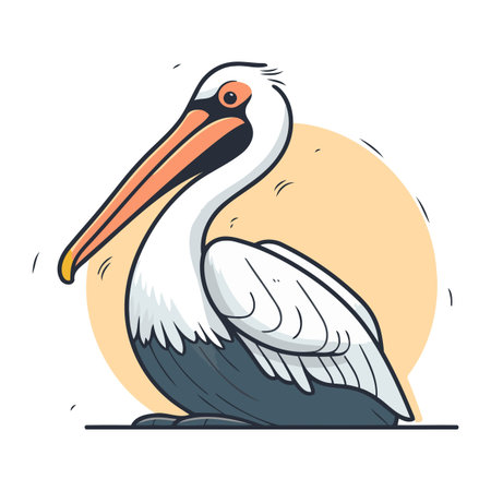 Pelican vector illustration. Isolated pelican on white background.のイラスト素材