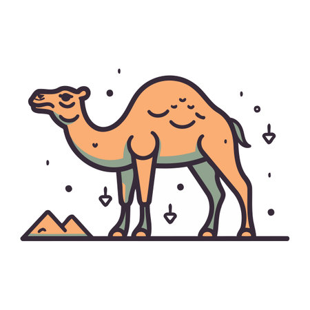 Cute camel. Vector illustration in linear style on white background.のイラスト素材