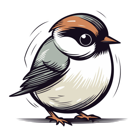 titmouse on white background. vector illustration in hand drawn styleのイラスト素材