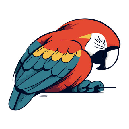 Colorful parrot isolated on a white background. Vector illustration.のイラスト素材
