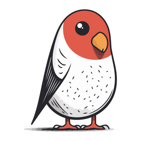 Bullfinch on a white background. Vector illustration of a bird.のイラスト素材