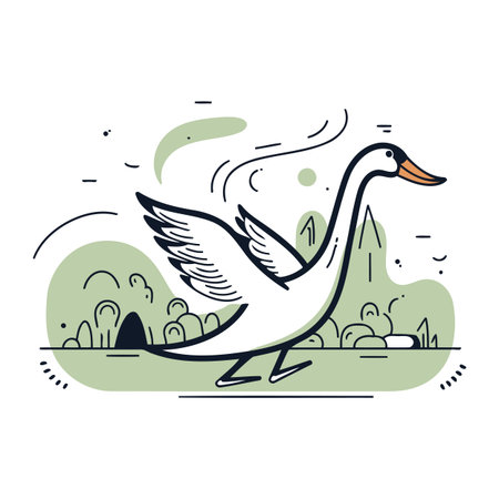 Vector illustration of a swan on a background of green grass.のイラスト素材
