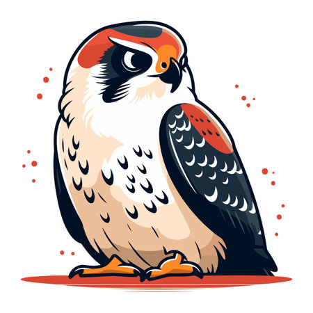 Illustration of a falcon on a white background. Vector illustrationのイラスト素材