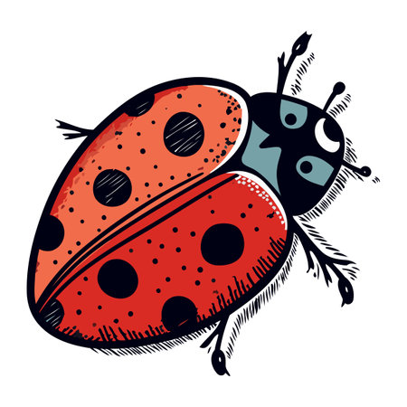 Ladybug isolated on white background. Hand drawn vector illustration in sketch style.のイラスト素材