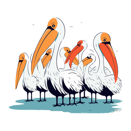 Vector illustration of a group of pelicans on a white background.のイラスト素材