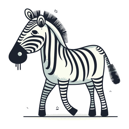 Zebra vector illustration. Hand drawn zebra isolated on white background.のイラスト素材