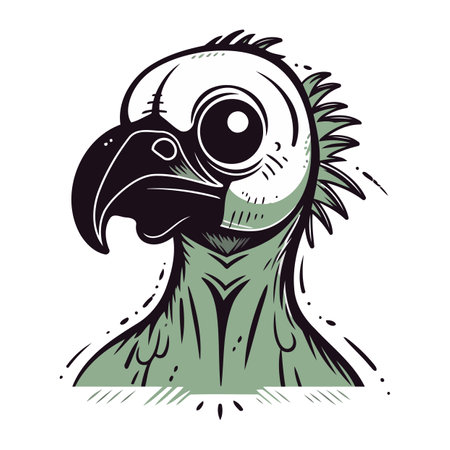 Portrait of a parrot. Vector illustration on white background.のイラスト素材