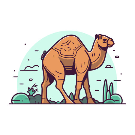 Camel in the desert. Vector illustration in flat linear style.のイラスト素材