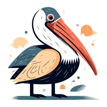 Vector illustration of a pelican on white background. Cartoon style.のイラスト素材