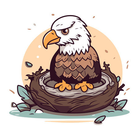 Bald eagle sitting in the nest. Vector illustration in cartoon style.のイラスト素材