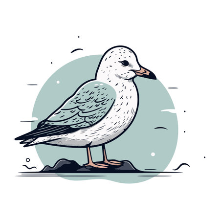 Seagull. Hand drawn vector illustration of a seagull.のイラスト素材