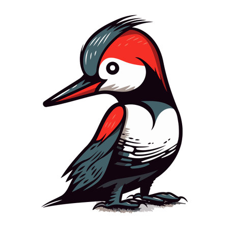 Woodpecker. hand drawn vector illustration isolated on white background.のイラスト素材