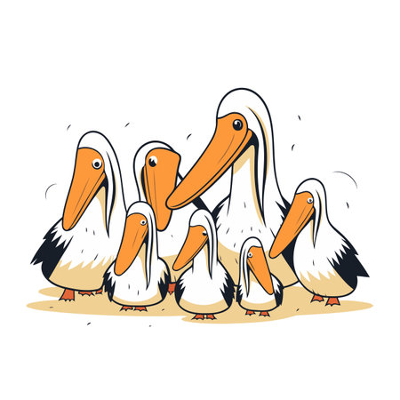 Pelican family isolated on white background. Cartoon vector illustration.のイラスト素材