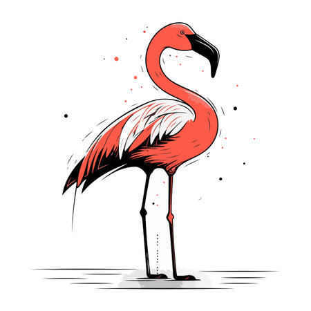 Flamingo. Hand drawn vector illustration isolated on white background.のイラスト素材