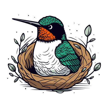 Cute hand drawn vector illustration of a bird in a nest.のイラスト素材