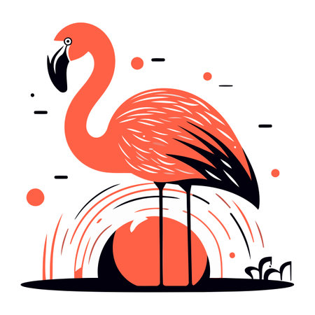 Flamingo vector illustration. Tropical flamingo on white background.のイラスト素材