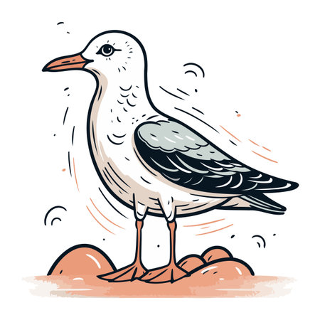 Vector illustration of a seagull sitting on a rock. Isolated on white background.のイラスト素材