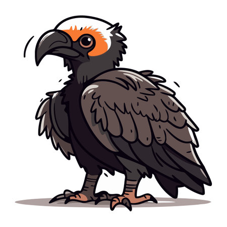 Vulture bird. Vector illustration of a vulture on a white background.のイラスト素材