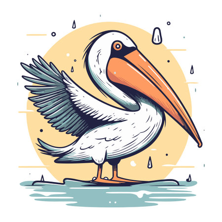 Pelican vector illustration. Hand drawn sketch of pelican.のイラスト素材